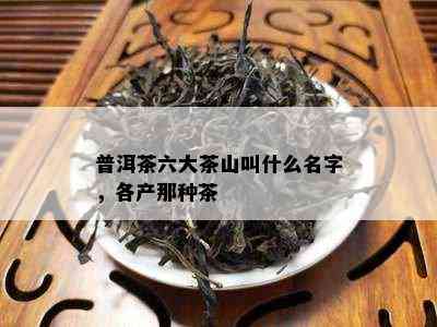 普洱茶六大茶山叫什么名字，各产那种茶