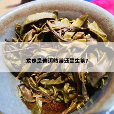 龙珠是普洱熟茶还是生茶？