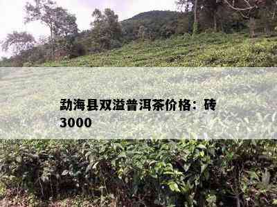 勐海县双溢普洱茶价格：砖3000