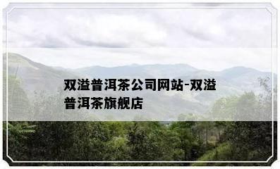 双溢普洱茶公司网站-双溢普洱茶旗舰店