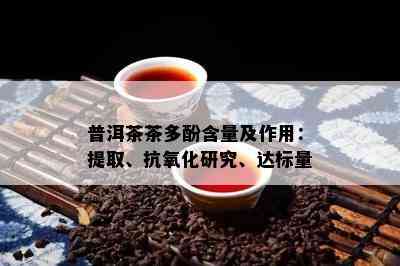 普洱茶茶多酚含量及作用：提取、抗氧化研究、达标量