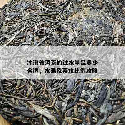 冲泡普洱茶的注水量是多少合适，水温及茶水比例攻略