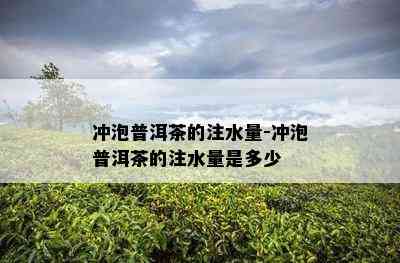 冲泡普洱茶的注水量-冲泡普洱茶的注水量是多少