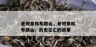 老班章和布朗山，老班章和布朗山：历史交汇的故事