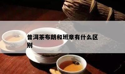 普洱茶布朗和班章有什么区别