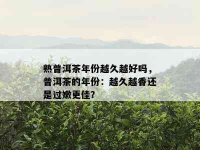 熟普洱茶年份越久越好吗，普洱茶的年份：越久越香还是过嫩更佳？