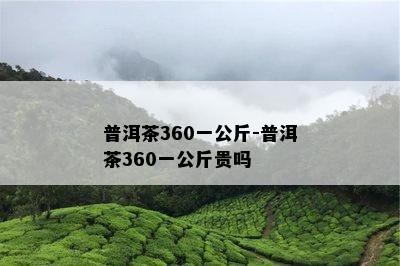 普洱茶360一公斤-普洱茶360一公斤贵吗