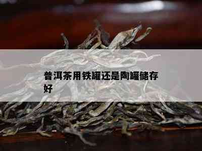 普洱茶用铁罐还是陶罐储存好