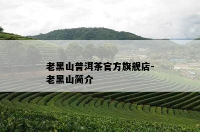 老黑山普洱茶官方旗舰店-老黑山简介