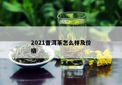 2021普洱茶怎么样及价格