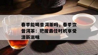 春季能喝普洱茶吗，春季饮普洱茶：把握更佳时机享受清新滋味