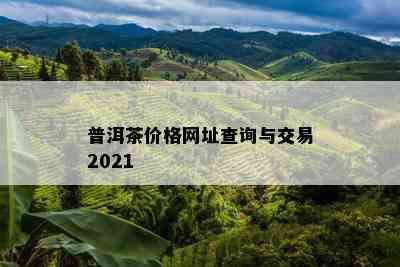 普洱茶价格网址查询与交易2021