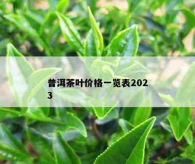 普洱茶叶价格一览表2023