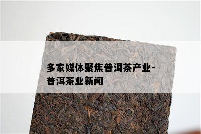 多家媒体聚焦普洱茶产业-普洱茶业新闻