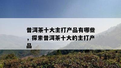 普洱茶十大主打产品有哪些，探索普洱茶十大的主打产品