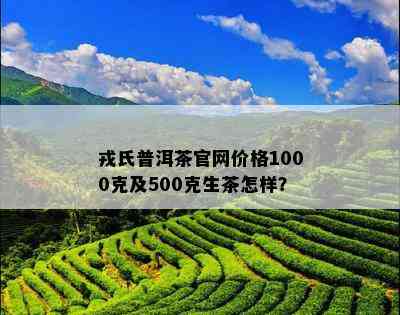 戎氏普洱茶官网价格1000克及500克生茶怎样？