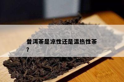 普洱茶是凉性还是温热性茶？