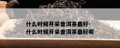 什么时候开采普洱茶更好-什么时候开采普洱茶更好呢