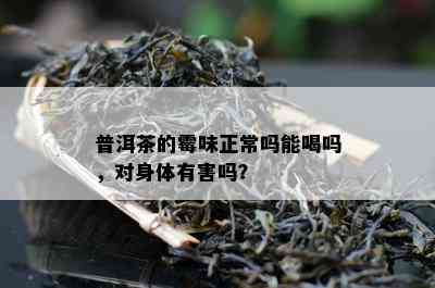 普洱茶的霉味正常吗能喝吗，对身体有害吗？