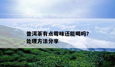 普洱茶有点霉味还能喝吗？处理方法分享