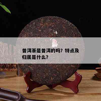 普洱茶是普洱的吗？特点及归属是什么？