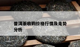 普洱茶收购价格行情及走势分析