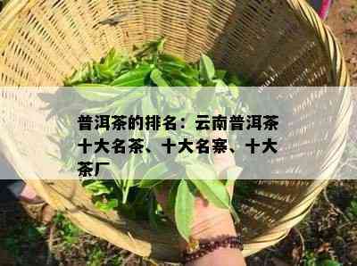 普洱茶的排名：云南普洱茶十大名茶、十大名寨、十大茶厂