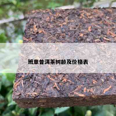 班章普洱茶树龄及价格表