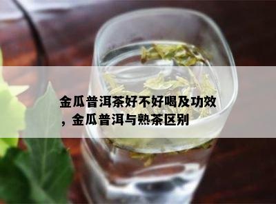 金瓜普洱茶好不好喝及功效，金瓜普洱与熟茶区别