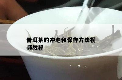 普洱茶的冲泡和保存方法视频教程