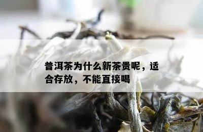 普洱茶为什么新茶贵呢，适合存放，不能直接喝