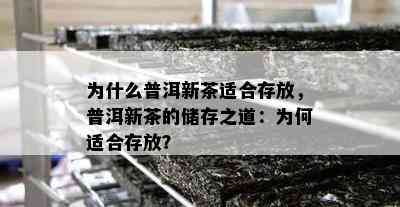 为什么普洱新茶适合存放，普洱新茶的储存之道：为何适合存放？