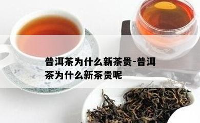 普洱茶为什么新茶贵-普洱茶为什么新茶贵呢