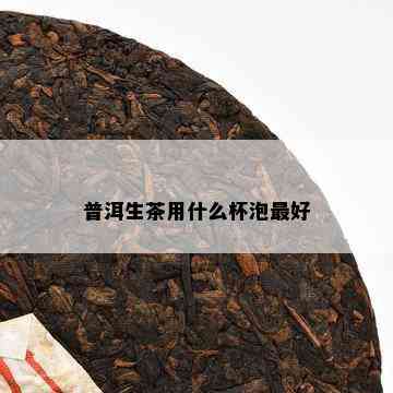 普洱生茶用什么杯泡更好