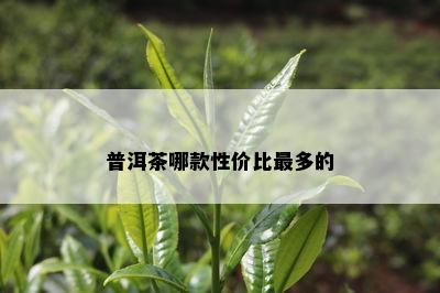 普洱茶哪款性价比最多的