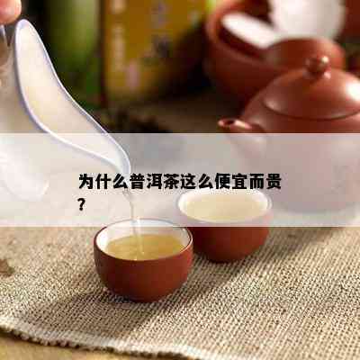 为什么普洱茶这么便宜而贵？