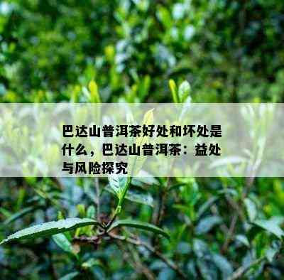 巴达山普洱茶好处和坏处是什么，巴达山普洱茶：益处与风险探究