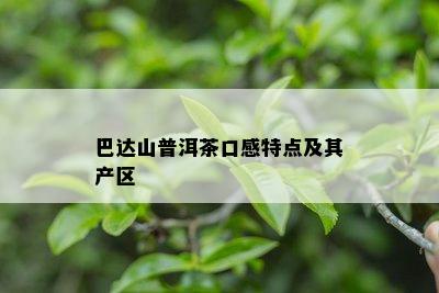 巴达山普洱茶口感特点及其产区