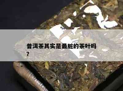 普洱茶其实是最脏的茶叶吗？