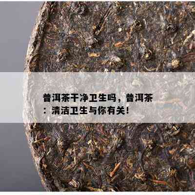 普洱茶干净卫生吗，普洱茶：清洁卫生与你有关！