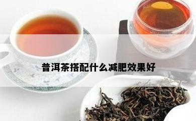 普洱茶搭配什么减肥效果好