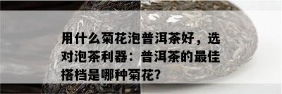 用什么菊花泡普洱茶好，选对泡茶利器：普洱茶的更佳搭档是哪种菊花？