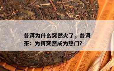 普洱为什么突然火了，普洱茶：为何突然成为热门？