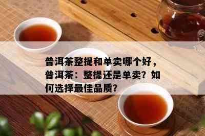 普洱茶整提和单卖哪个好，普洱茶：整提还是单卖？如何选择更佳品质？