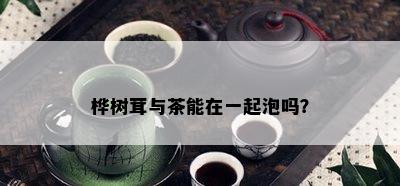 桦树茸与茶能在一起泡吗？