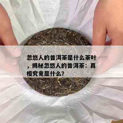 忽悠人的普洱茶是什么茶叶，揭秘忽悠人的普洱茶：真相究竟是什么？