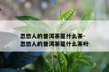 忽悠人的普洱茶是什么茶-忽悠人的普洱茶是什么茶叶