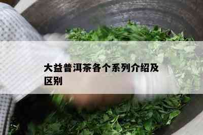 大益普洱茶各个系列介绍及区别