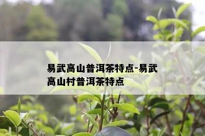 易武高山普洱茶特点-易武高山村普洱茶特点