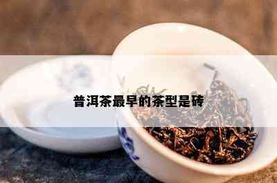 普洱茶最早的茶型是砖